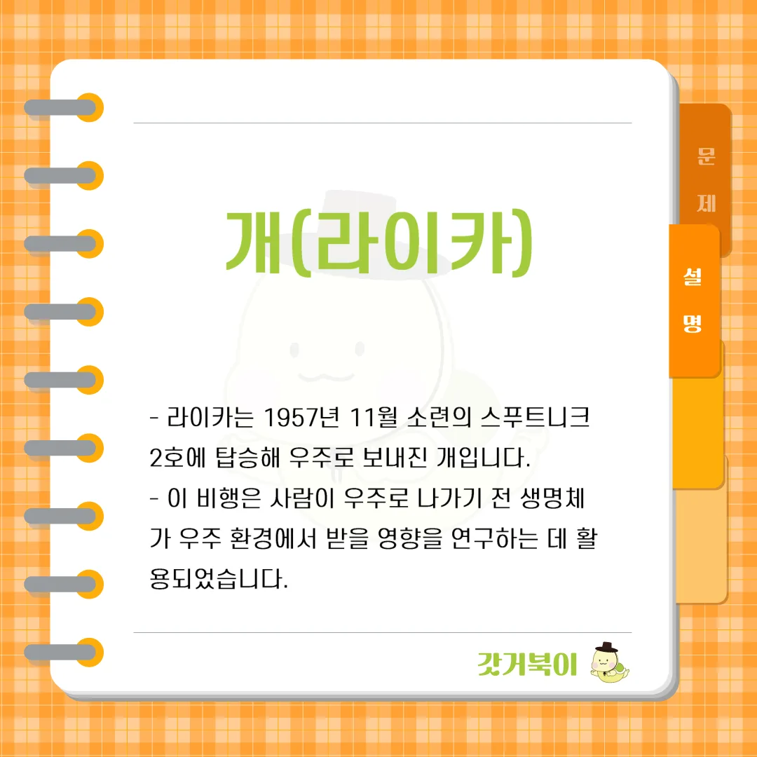 1957년 11월 소련이 스푸트니크 2호에 태워 우주로 보낸 최초의 동물은 무엇인가? 설명 이미지