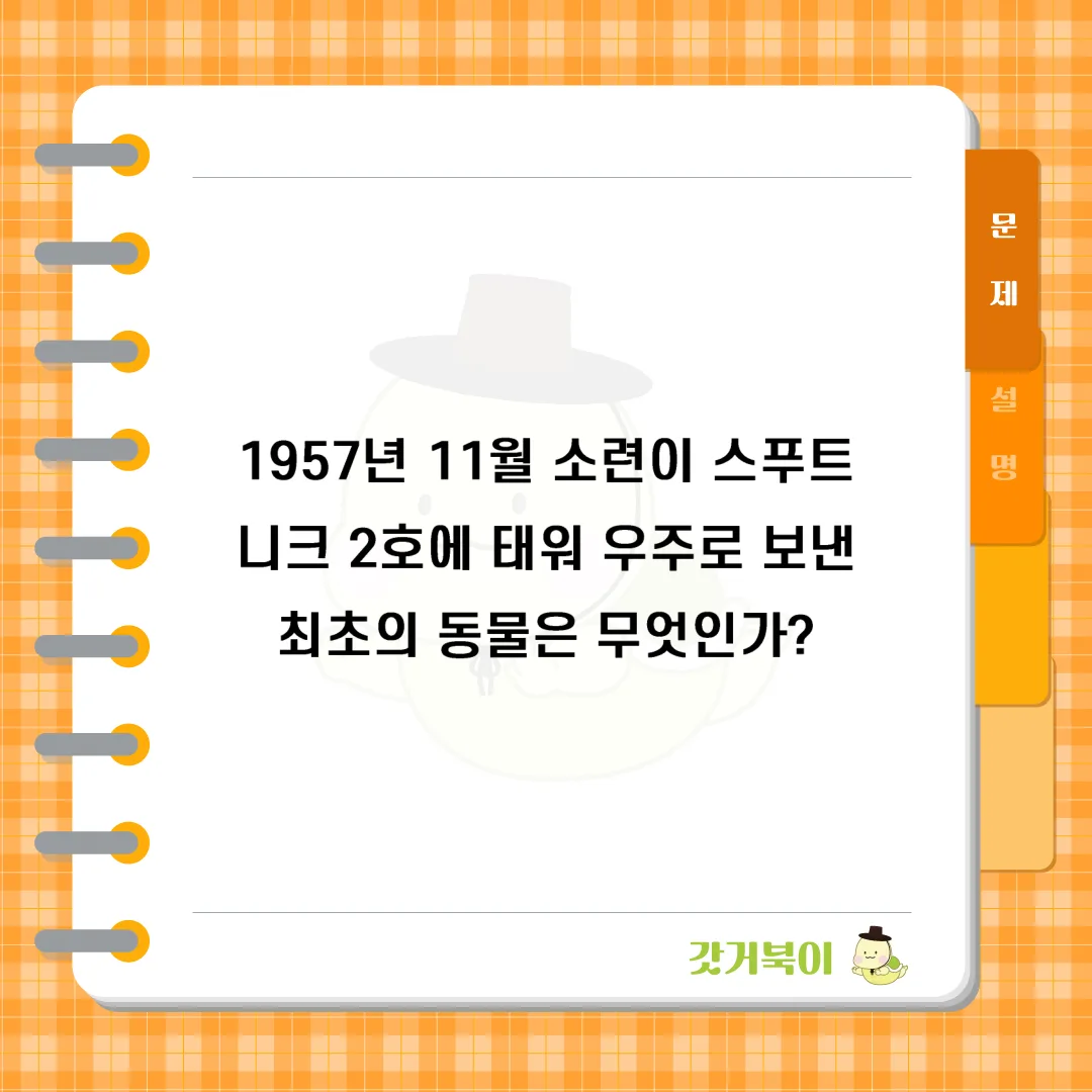 1957년 11월 소련이 스푸트니크 2호에 태워 우주로 보낸 최초의 동물은 무엇인가? 문제 이미지