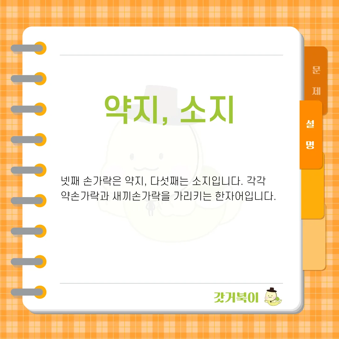 엄지부터 차례로 셀 때, 넷째 손가락과 다섯째 손가락을 한자어로 각각 무엇이라고 하나요? 설명 이미지