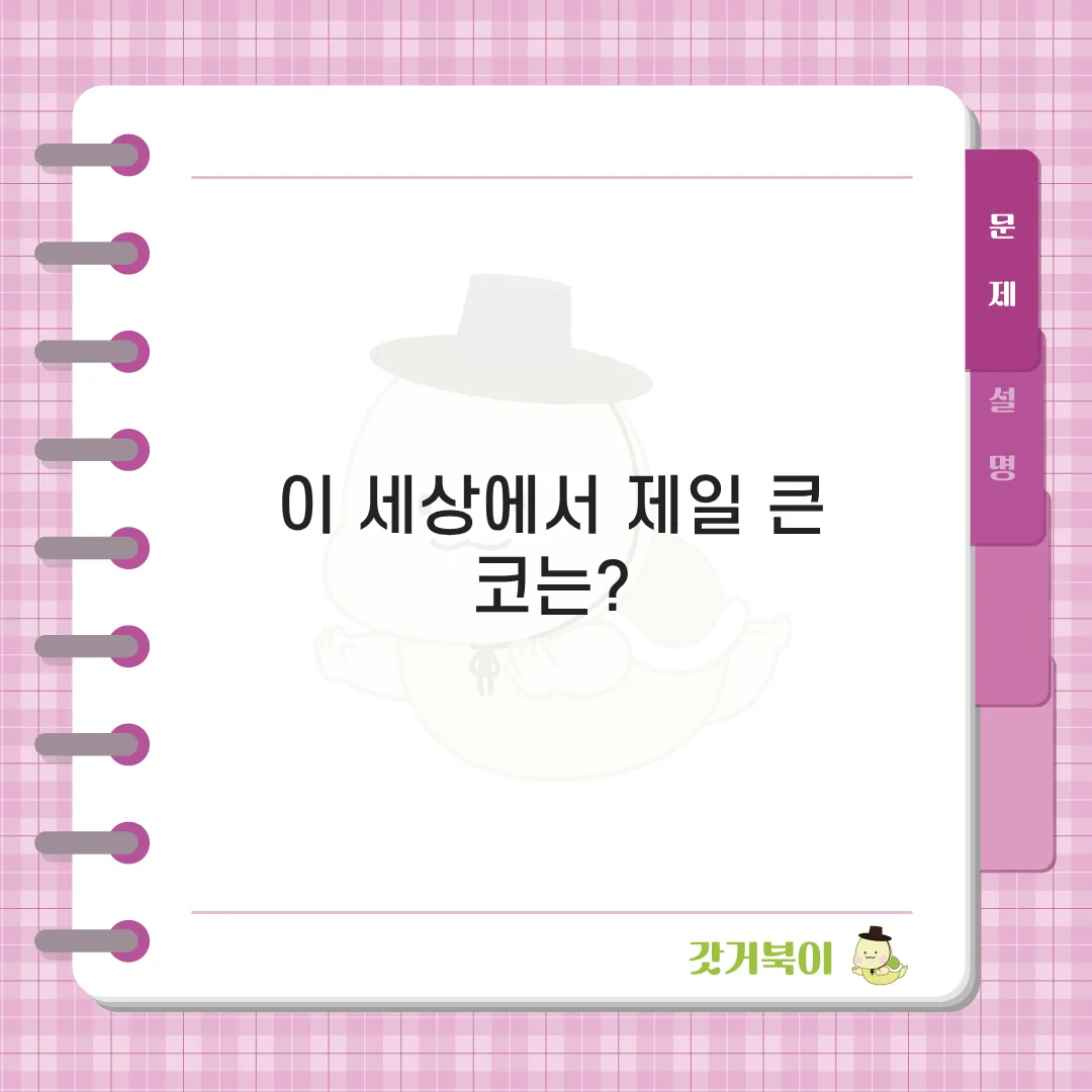 이 세상에서 제일 큰 코는? 문제 이미지